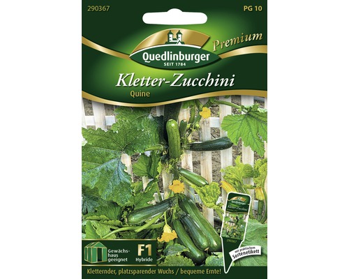Kletter-Zuccini 'Quine' Quedlinburger Gemüsesamen
