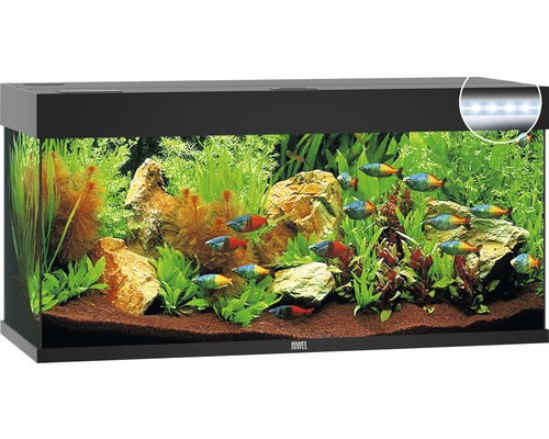 Aquarium JUWEL Rio 180 mit LED-Beleuchtung, Pumpe, Filter, Heizer ohne Unterschrank schwarz