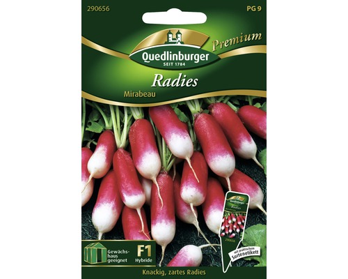 Radieschen 'Mirabeau' Quedlinburger Gemüsesamen