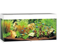 Aquarium JUWEL Rio 180 mit LED-Beleuchtung, Pumpe, Filter, Heizer ohne Unterschrank weiß-thumb-0