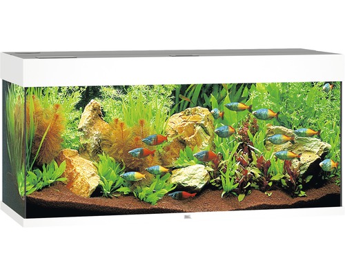 Aquarium JUWEL Rio 180 mit LED-Beleuchtung, Pumpe, Filter, Heizer ohne Unterschrank weiß-0