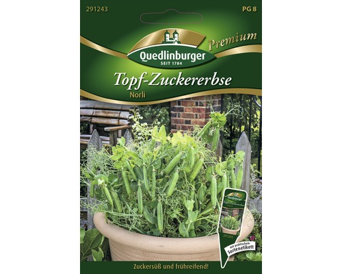 Topf-Zuckererbse 'Norli' Quedlinburger Gemüsesamen