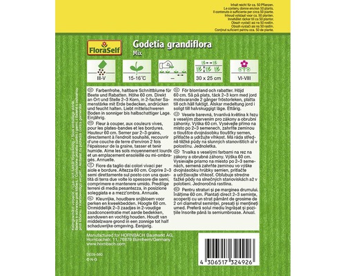 Verpackung von Godetia grandiflora Mix Blumensamen