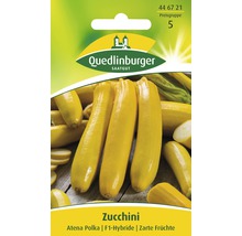 Zuccini 'Atena Polka F1' Quedlinburger Gemüsesamen