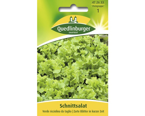Schnittsalat 'Verde ricciolina da taglio' Quedlinburger Salatsamen