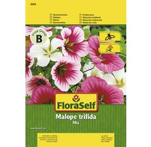 FloraSelf Malope trifida Mix Samenpackung