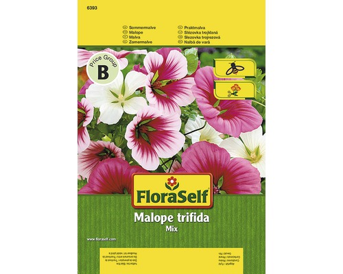 FloraSelf Malope trifida Mix Samenpackung
