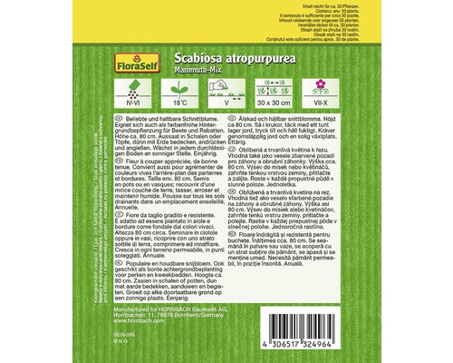 Blumensamenpackung Scabiosa atropurpurea Mammut-Mix