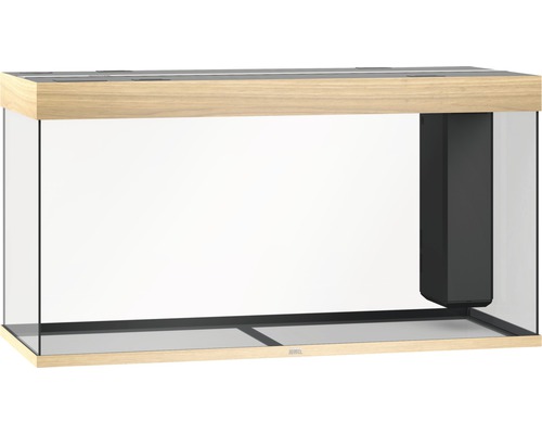 Leeres Aquarium mit Innenfilter