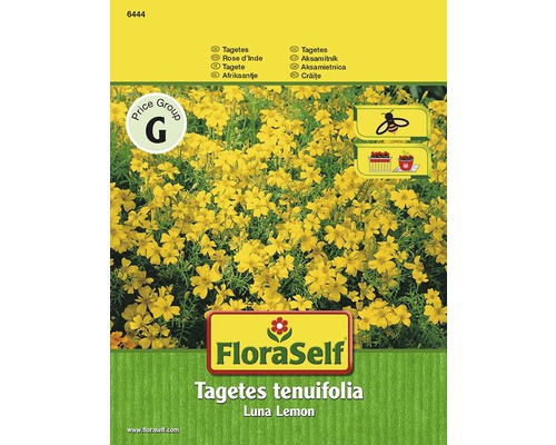 Kleinblütige Studentenblume 'Luna Lemon' FloraSelf samenfestes Saatgut Blumensamen FloraSelf Tagetes tenuifolia Luna Lemon Blumensamen Packung