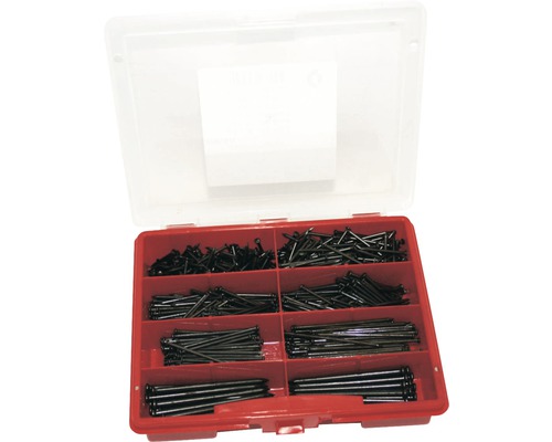 Sortimentskasten mit Stahlnägeln verschiedener Größen