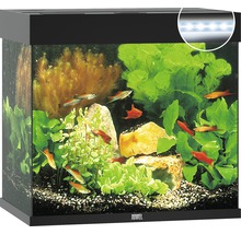 Aquarium JUWEL Lido 120 mit LED-Beleuchtung, Pumpe, Filter, Heizer ohne Unterschrank schwarz