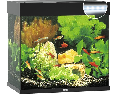 Aquarium JUWEL Lido 120 mit LED-Beleuchtung, Pumpe, Filter, Heizer ohne Unterschrank schwarz
