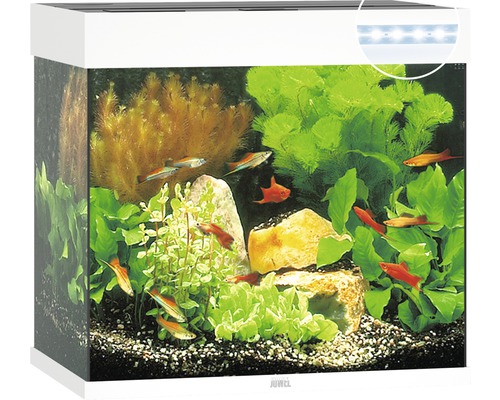 Aquariumdekoration mit Luftsprudler Seestern 13 cm - HORNBACH