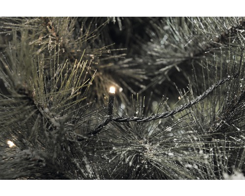 Nahaufnahme eines Weihnachtsbaums mit Beleuchtung und Schnee