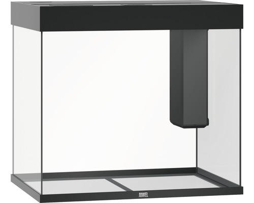 Leeres Glasaquarium mit Filter