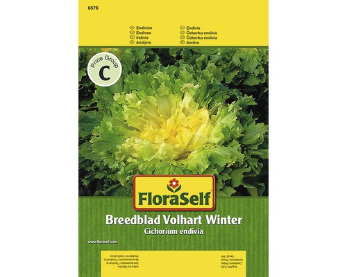 FloraSelf Saatgut Winterendivie Breedblad Volhart Winter