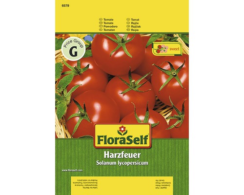 Tomate 'Harzfeuer' FloraSelf F1 Hybride Gemüsesamen Tomate 'Harzfeuer' FloraSelf F1 Hybride Gemüsesamen