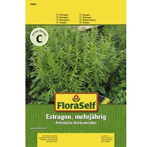 FloraSelf Estragon mehrjährig Samenpackung