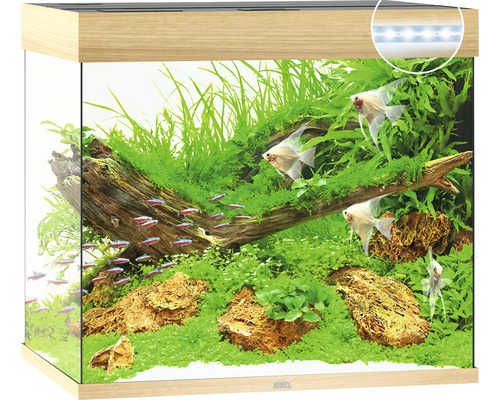 Aquarium JUWEL Lido 200 mit LED-Beleuchtung, Pumpe, Filter, Heizer ohne Unterschrank helles Holz