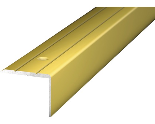 Winkelprofil Alu gold gelocht 24,5 x 20 x 2700 mm