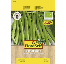 Buschbohne Samenpackung von FloraSelf