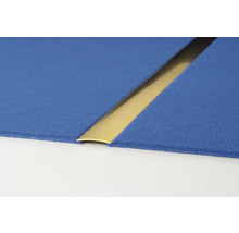 Übergangsprofil zwischen zwei blauen Teppichböden