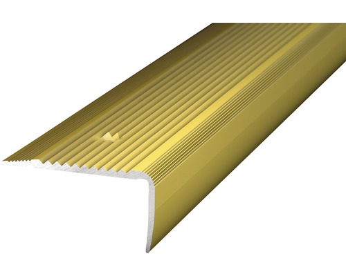 Treppenkantenprofil Alu gold gelocht 45 x 23 x 1000 mm