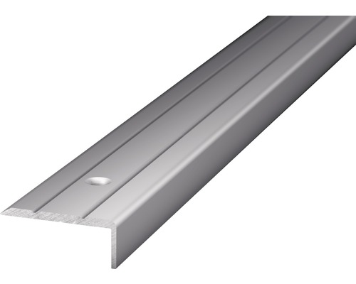 Winkelprofil Alu silber gelocht 24,5 x 10 x 1000 mm