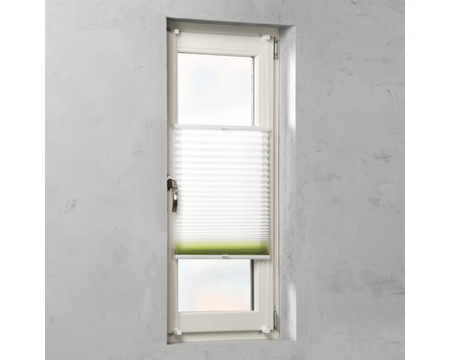 Fenster mit Faltrollo für Sicht- und Sonnenschutz