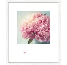 Gerahmtes Bild mit rosa Pfingstrosen in einer Vase