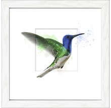 Gerahmtes Bild Honeybird 35x35 cm
