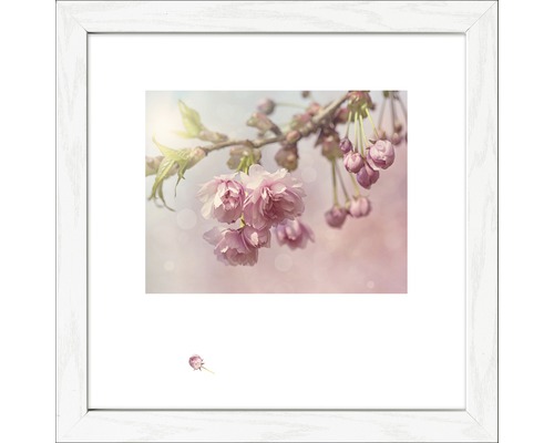 Gerahmtes Bild Blütenträume V 35x35 cm