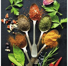 Arrangement von Gewürzen in Löffeln mit Kräutern und Chilischoten