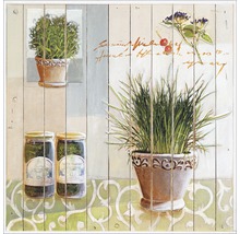 Leinwandbild Sweet Herbs III 27x27 cm
