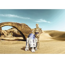 Szene mit den Robotern R2-D2 und C-3PO in einer Wüstenlandschaft