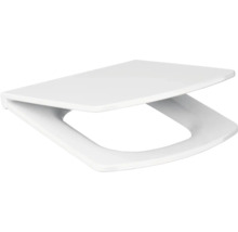 Toilettendeckel aus Kunststoff