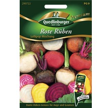 Rote Rüben Lollipop Mischung Saatgutpackung von Quedlinburger