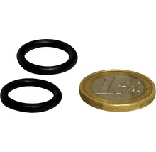 Dichtung JBL CP e1500/1 Schlauchanschlussblock 2 Stück