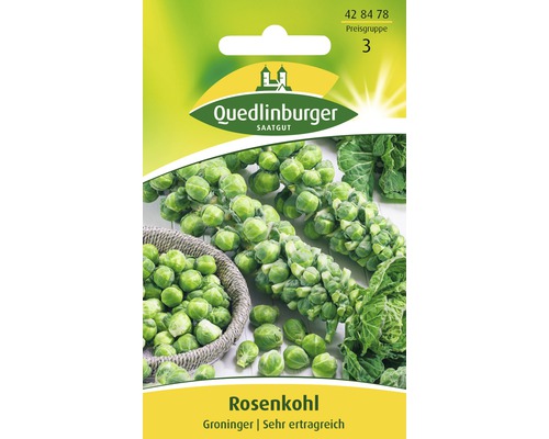 Rosenkohl Groninger Quedlinburger Gemüsesamen
