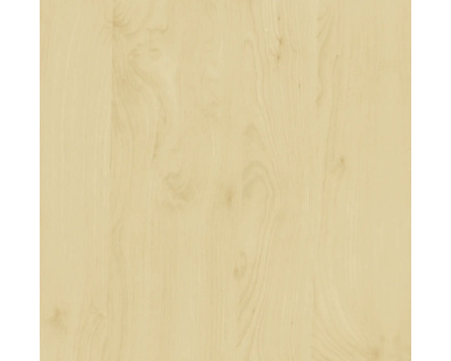 d-c-fix® Klebefolie Holzdekor Birke 45x200 cm Holzstruktur für Bodenbeläge