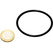 Schwarzer O-Ring mit Ein-Euro-Münze als Größenvergleich