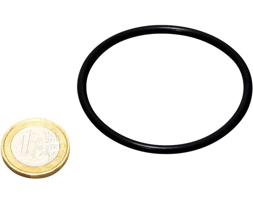Schwarzer O-Ring mit Ein-Euro-Münze als Größenvergleich