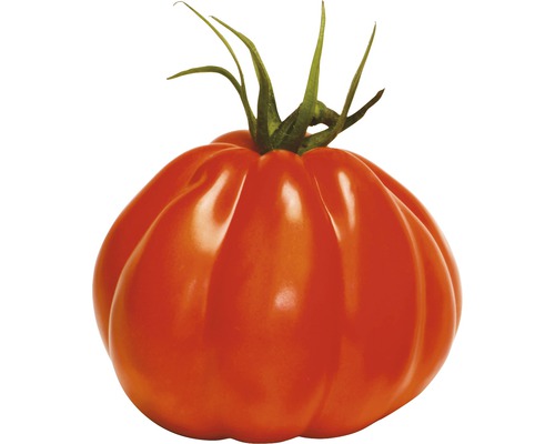 Ochsenherztomaten Fleischtomate 'Corazon' F1 FloraSelf Ø 12 cm Topf veredelt-0