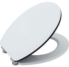 Toilettensitz mit Absenkautomatik