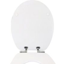 Toilettendeckel aus Kunststoff mit Befestigungselementen