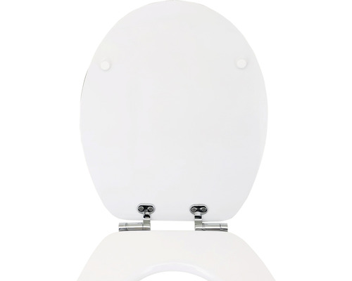 Toilettendeckel aus Kunststoff mit Befestigungselementen