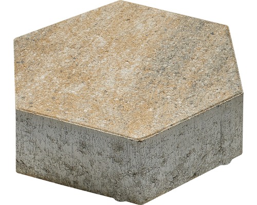 Sechseckiger Pflasterstein