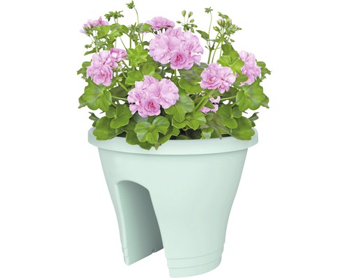 Blumenkasten Elho Flower Bridge grn | HORNBACH