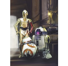 Illustration von C-3PO, R2-D2 und BB-8 Droiden